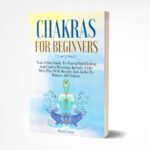 chakras for beginners