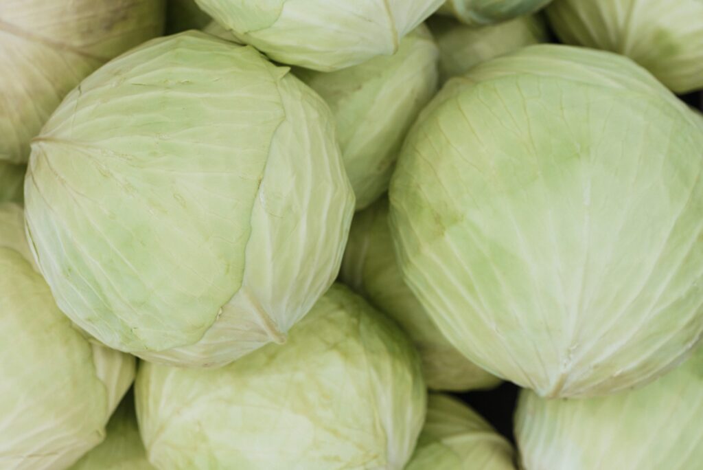 cabbage