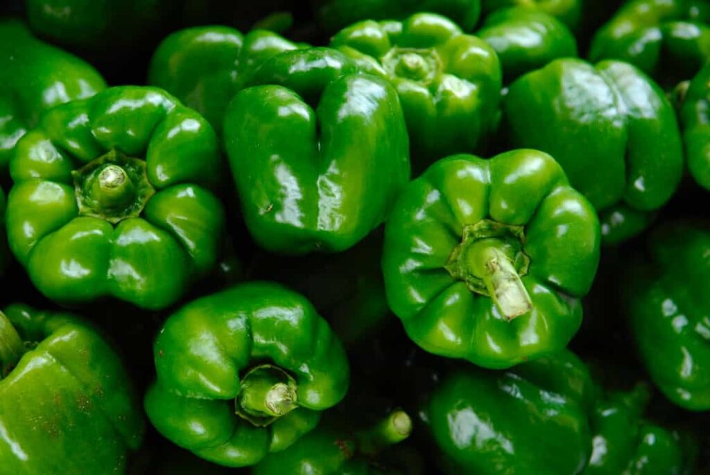 green bell pepper